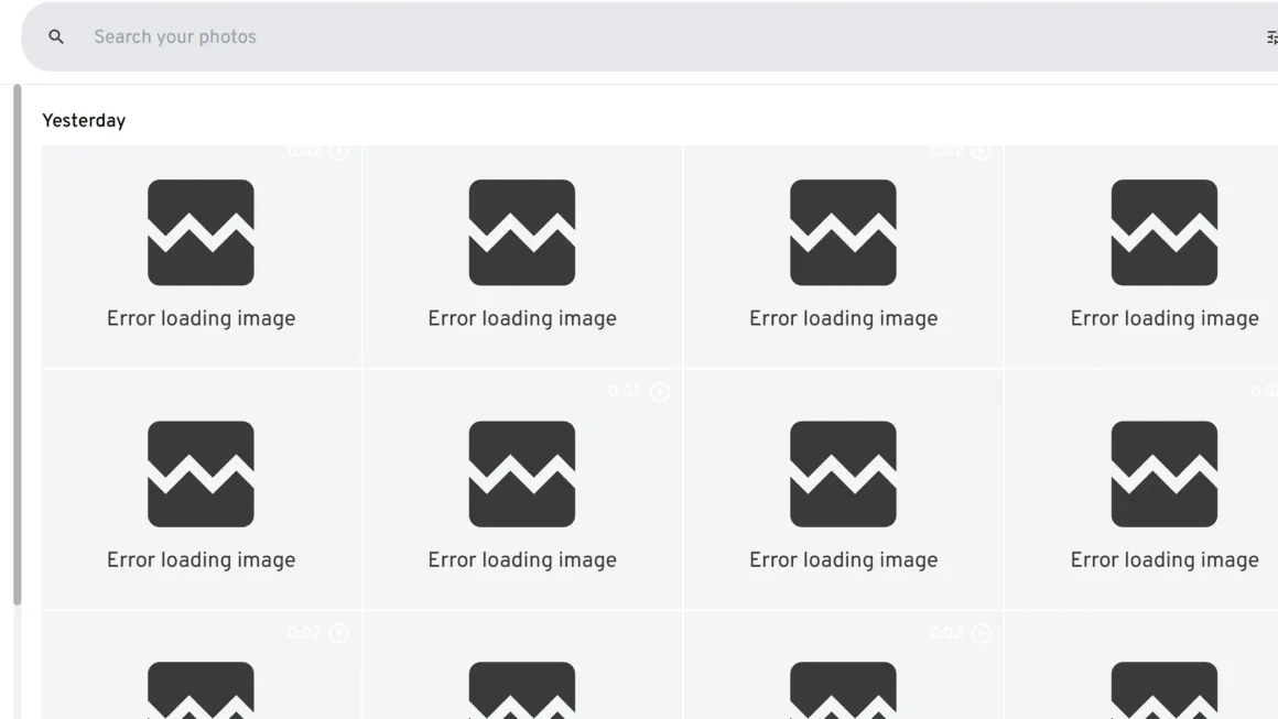 Immich error loading image